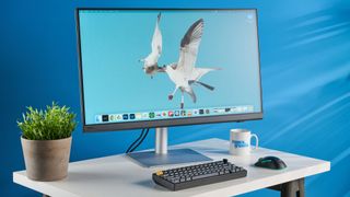 A photo of the BenQ PD3226G monitor in a blue-walled studio