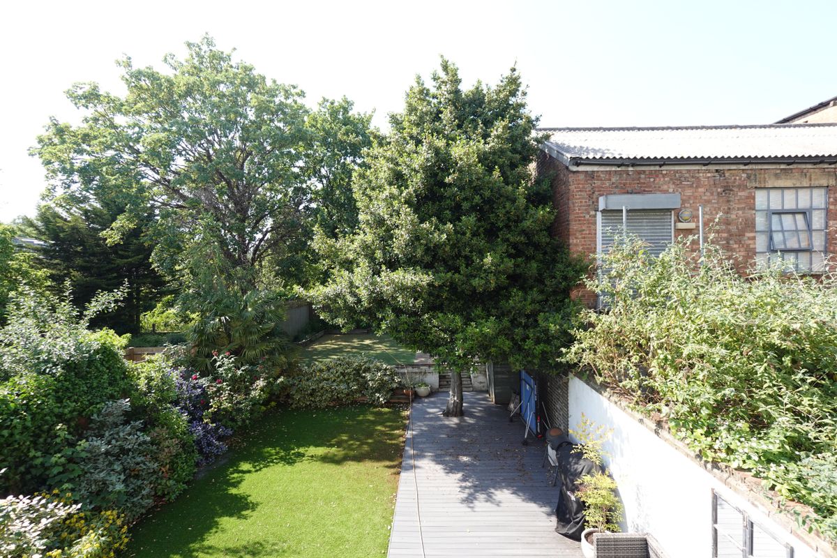 Sony ZV-1 II sample images