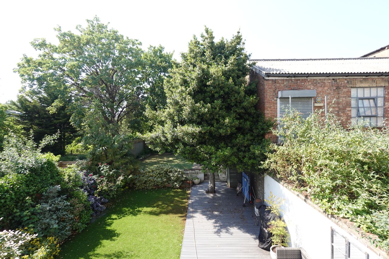 Sony ZV-1 II sample images