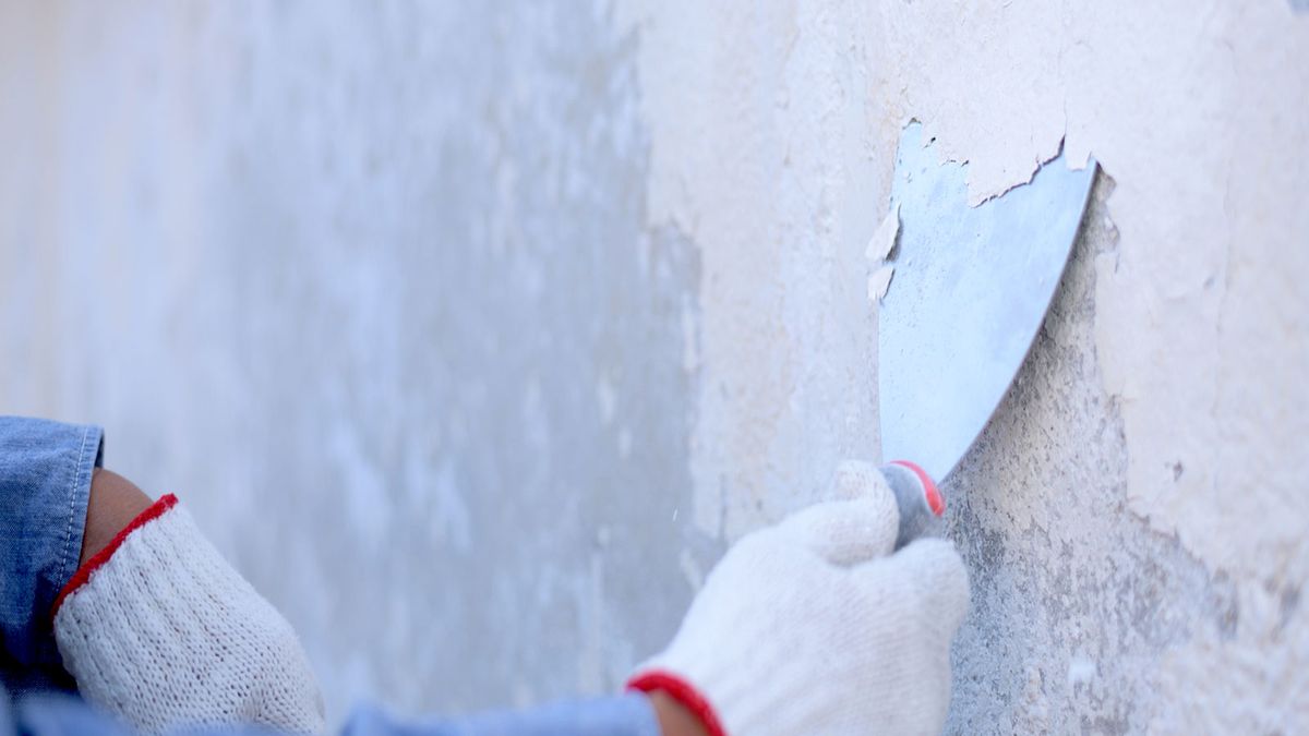 Gloved hand using wall scraper to remove paint