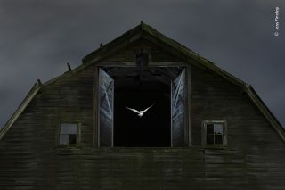 A barn owl flying out of barn