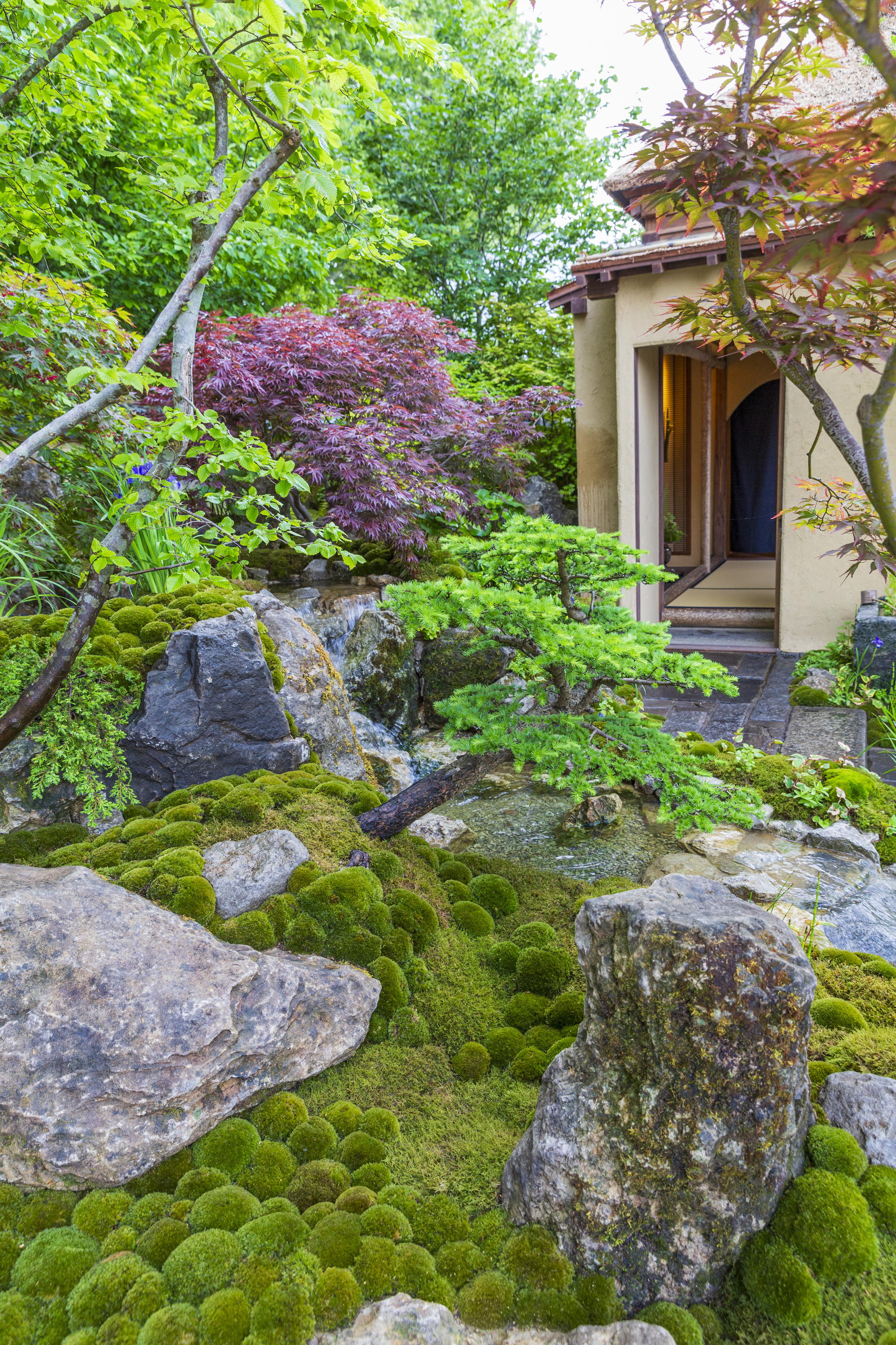 Cha no Niwa - Japanese Tea Garden at RHS Chelsea Flower Show 2025
