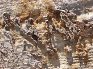 Navajo sandstone