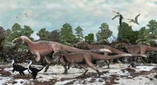 Artist&rsquo;s impression of a group of <i>Yutyrannus</i> and two individuals of the smaller <i>Beipiaosaurus</i>.