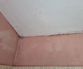 black mould on a pink bathroom wall in the ceiling