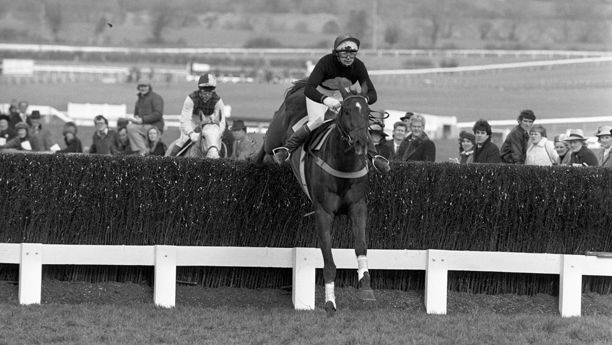 CAROLINE BEASLEY jumping a hedge at the Cheltenham Festival
