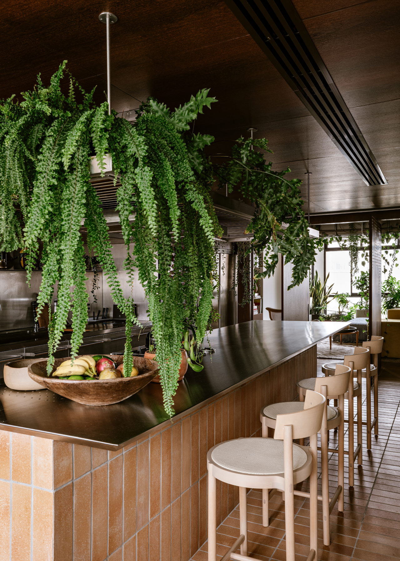 A kitchen island with overhead hanging ferns and a set of counter-side stools