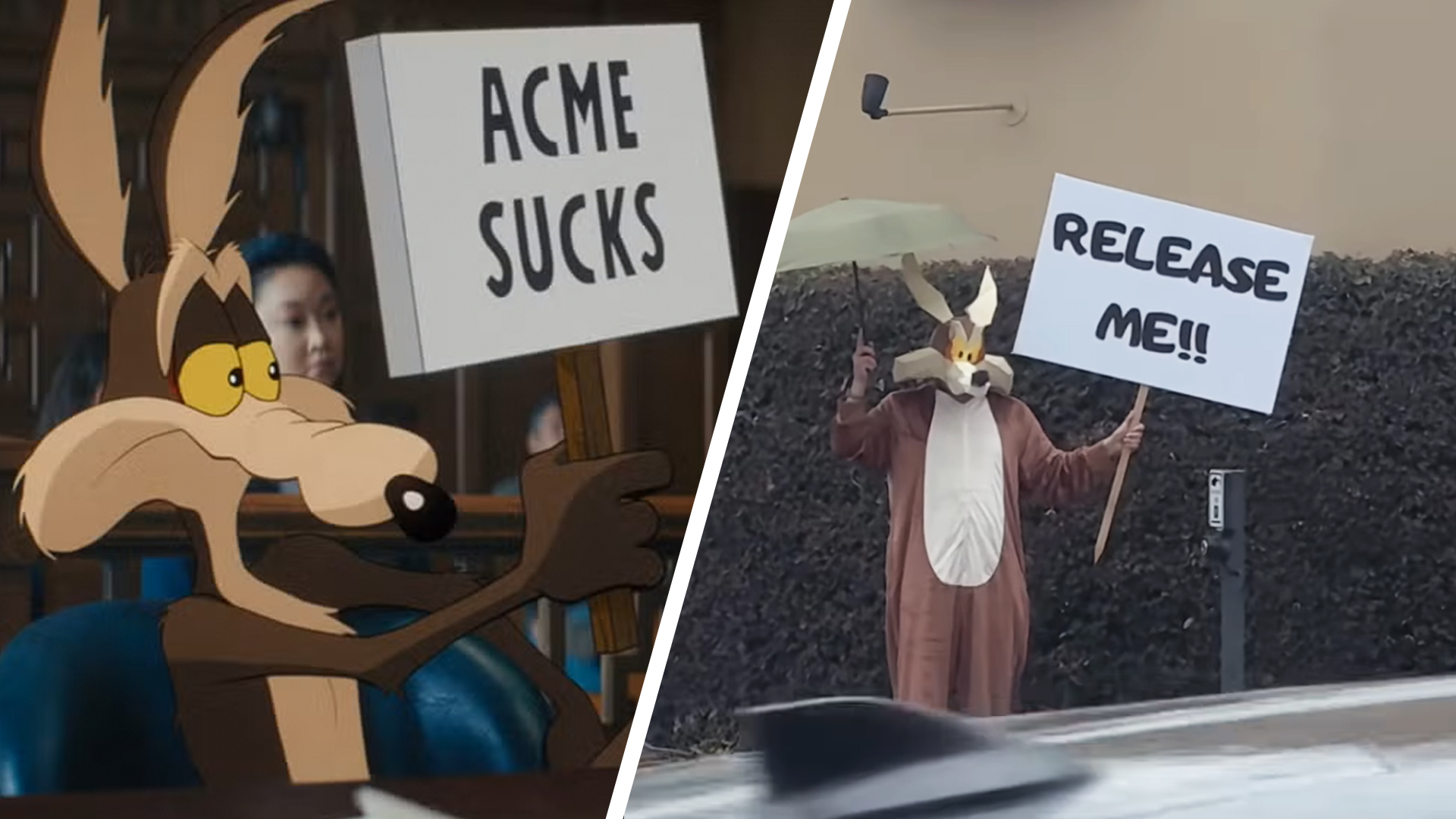 The movie Warner Bros wanted to write down has proven itself.