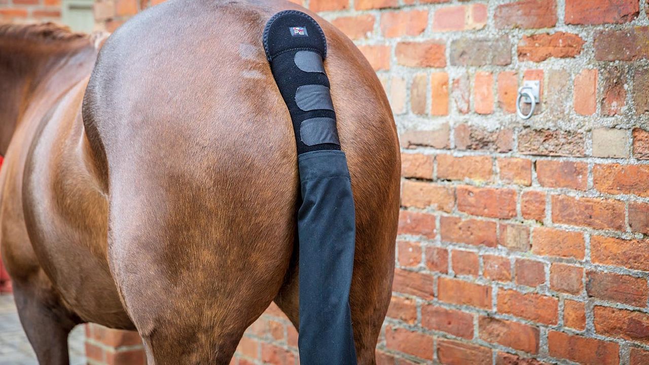 Premier Equine padded tail guard with tail bag