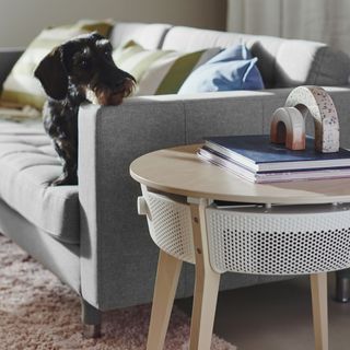 air purifier table beside a sofa with a dog sitting on it