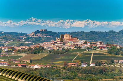 Barolo masterclass