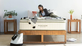 Person sitting on Avocado Mattress in a room with plants and furnishings