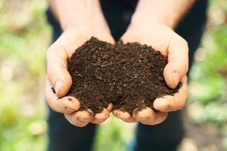 Gather samples of different types of soil from several different locations.
