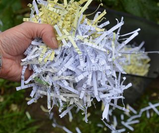 A handful of yellow and white shredded paper to add to a compost heap