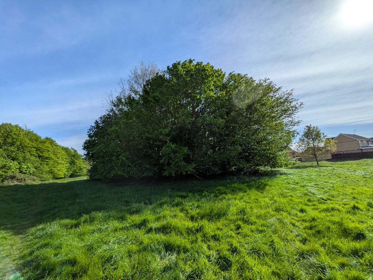 pixel 10 vs nothing phone 4a pro ultrawide images