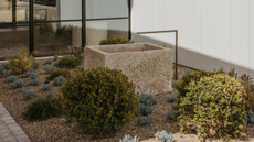 A garden patch with a tsukubai-inspired water basin