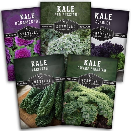 Kale Seeds 5 Variety Packs - Biennial Full Sun Vegetable