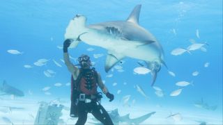 Dancing With The Stars’ Tom Bergeron Is Returning To TV, And Here’s Why He Was The ‘Perfect Choice’ For Shark Week