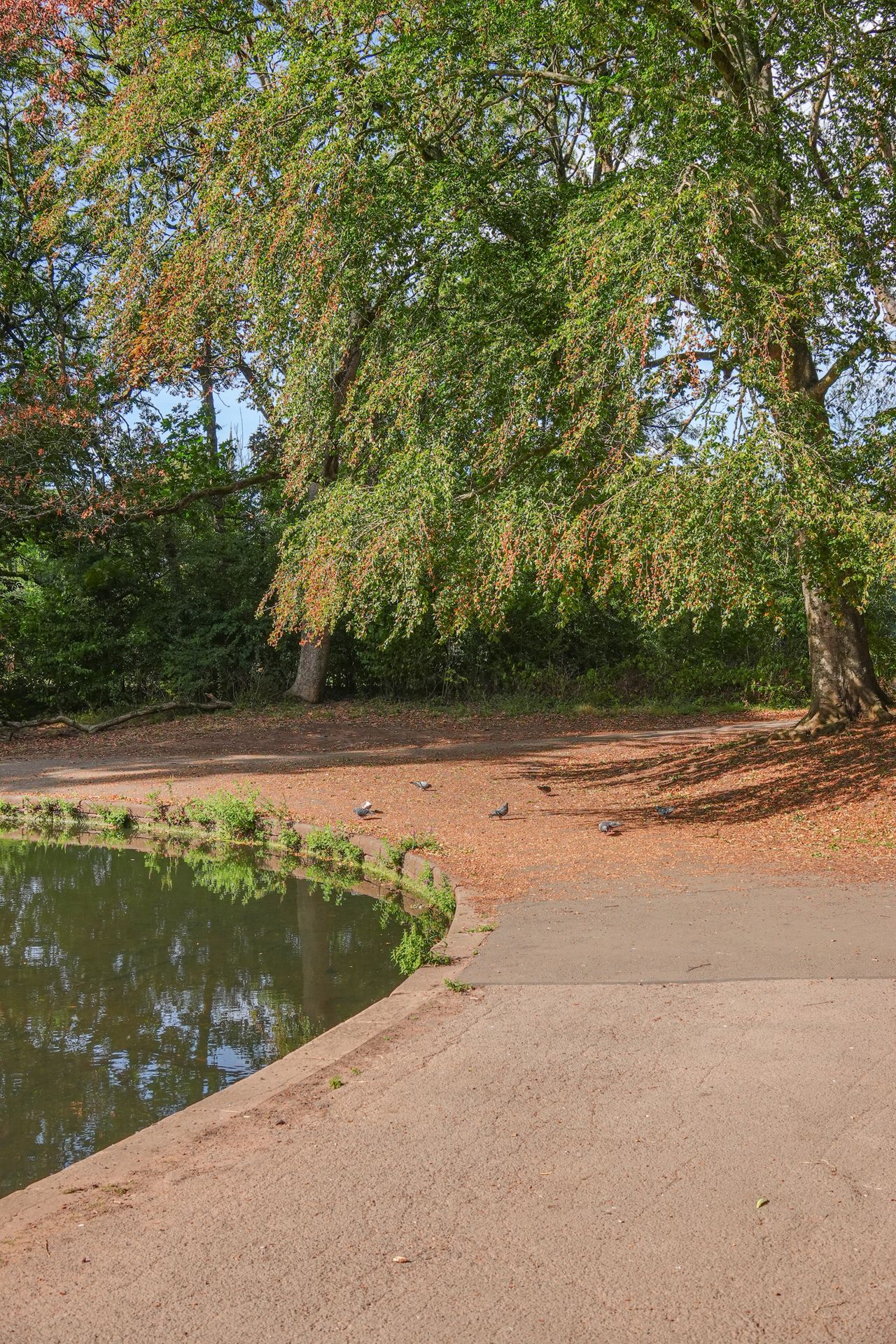 A photo taken on a Sony RX10 V bridge camera