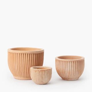Three ceramic plant pots in varying sizes