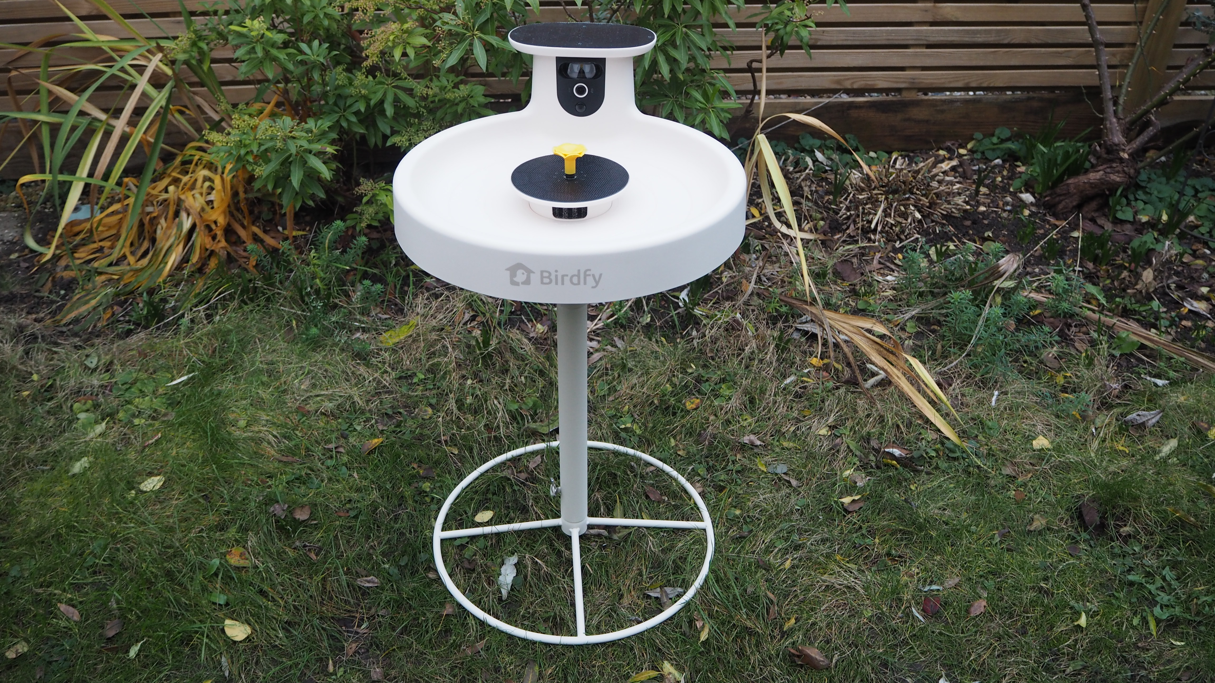 Birdfy Smart Bird Bath Pro with Stand