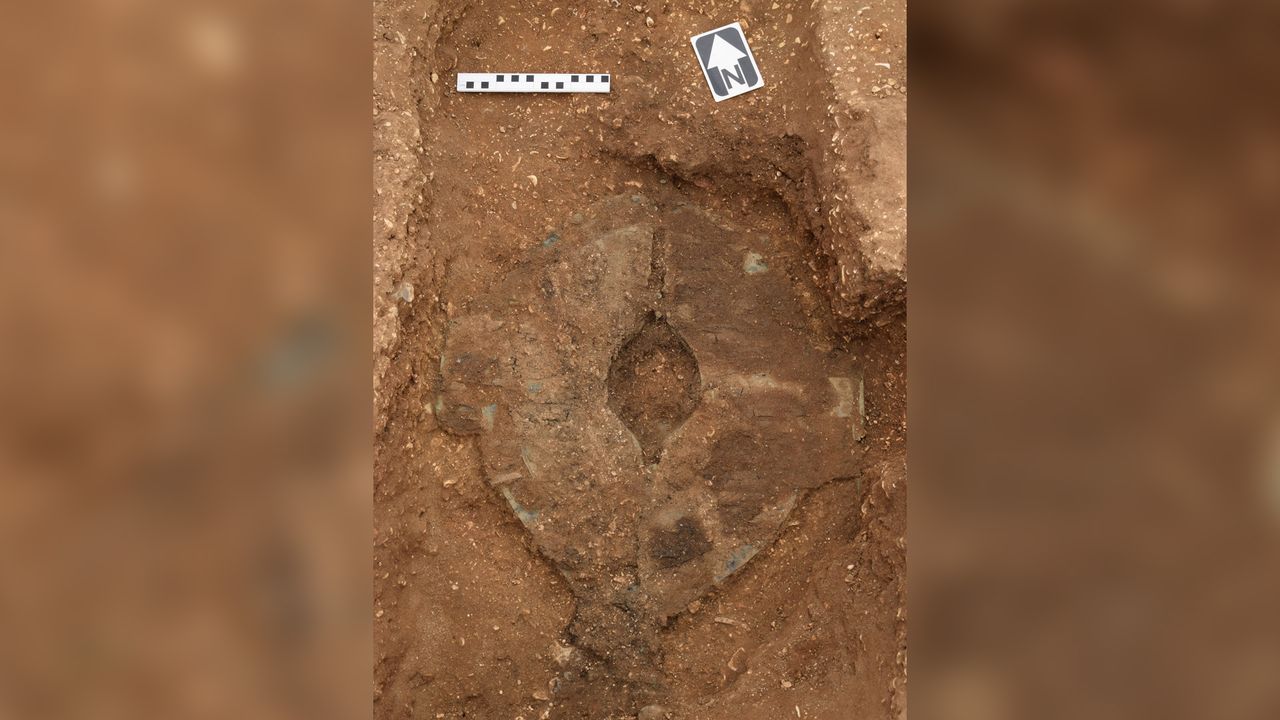The shield was found in a grave near a chariot with the remains of two ponies buried in a leaping pose.