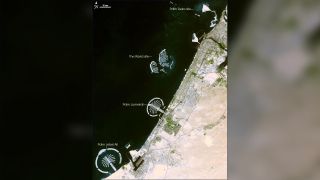 Image of the Palm Islands in Dubai as seen from space.
