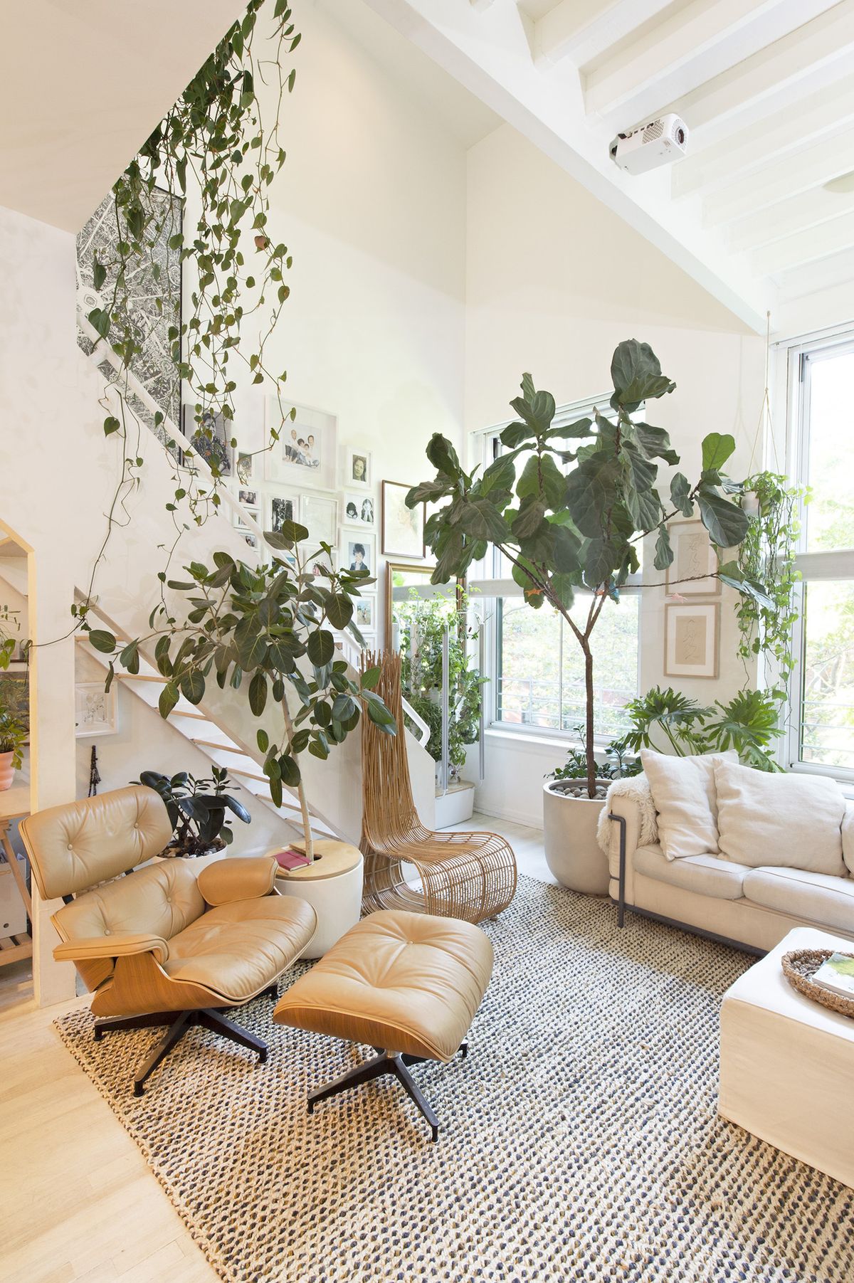 Dans le petit loft d'un architecte à Brooklyn 