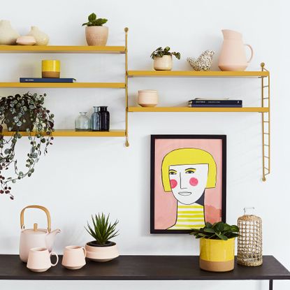Black console table against a white wall, wooden shelves with ornaments and pottery, plants and a portrait.