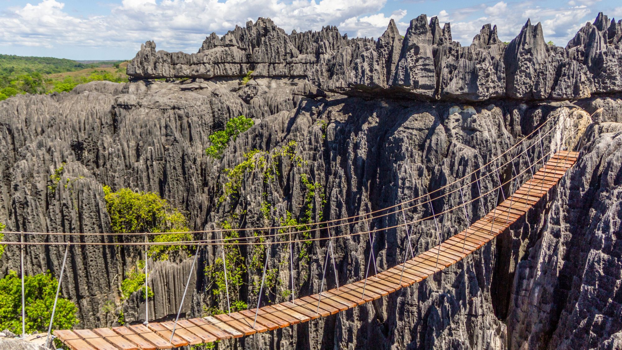 Bridge over the tsingy of Bemahara Unesco World heritage in Madagascar