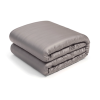 Hush Iced 2.0 Cooling Weighted Blanket: was $259 now $222 @ Hush