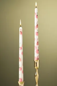 Anthropologie Forage Fall Icon Taper Candles, Set of 2