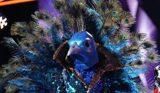 The Peacock The Masked Singer Fox