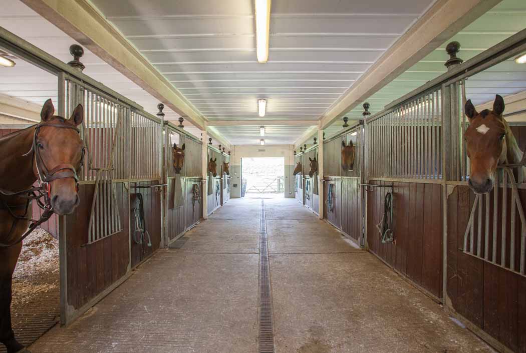 Burrow Hill Farm, Knight Frank (17)