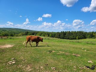 Samsung Galaxy Z Fold 3 camera samples