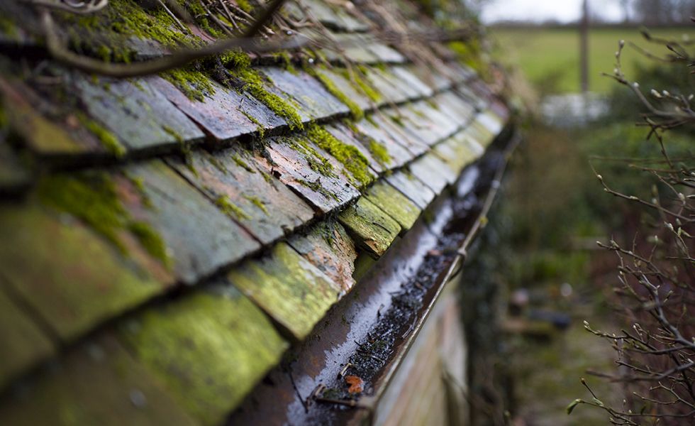 Rénovations hivernales : 11 travaux pour préparer votre maison aux mois froids