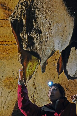 Stalactite in Tito Bustillo Cave in Spain