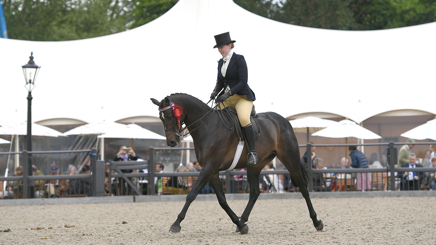 show hack