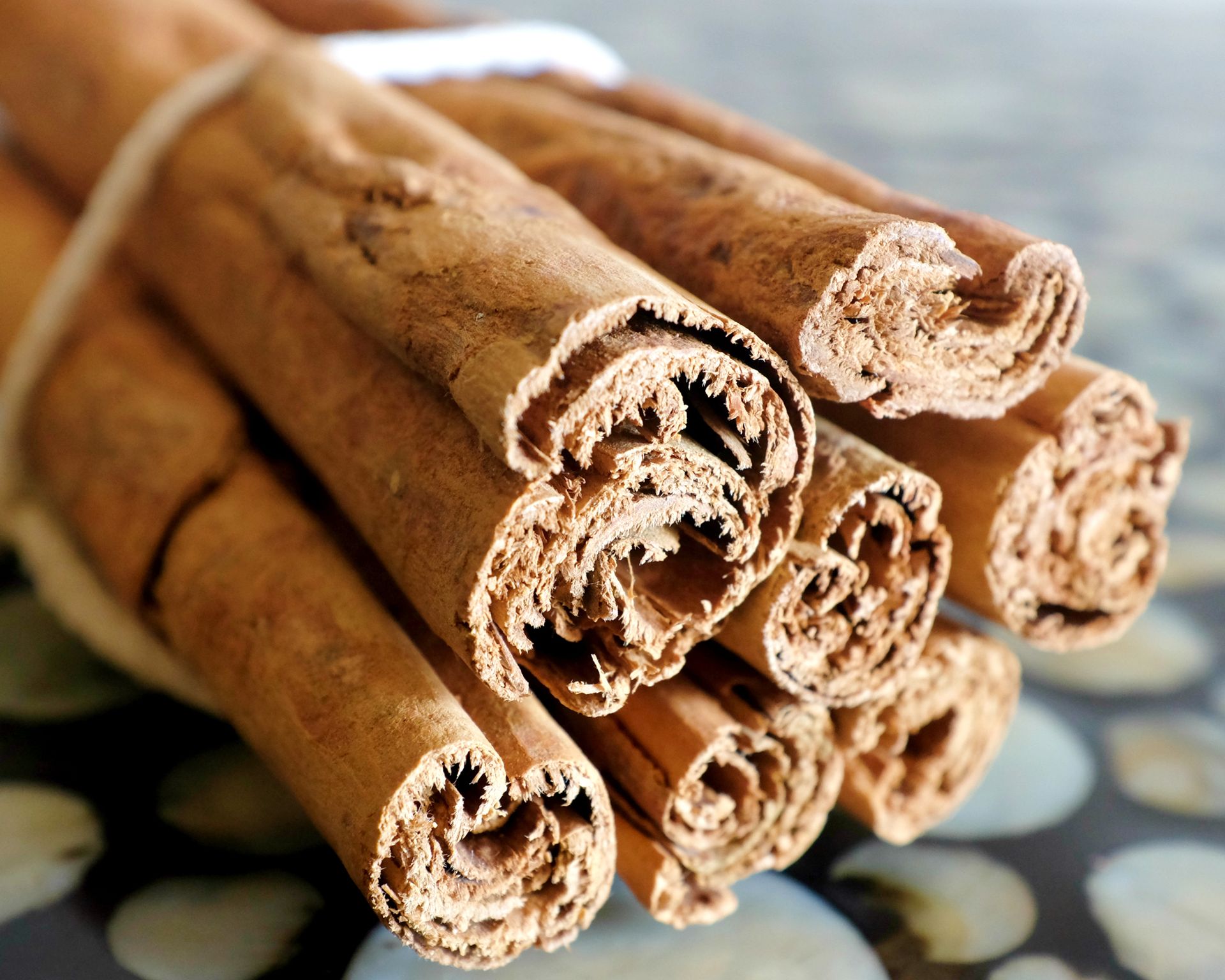 Does putting cinnamon on plants do anything? GardeningEtc