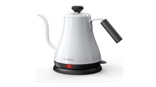 electric gooseneck kettle