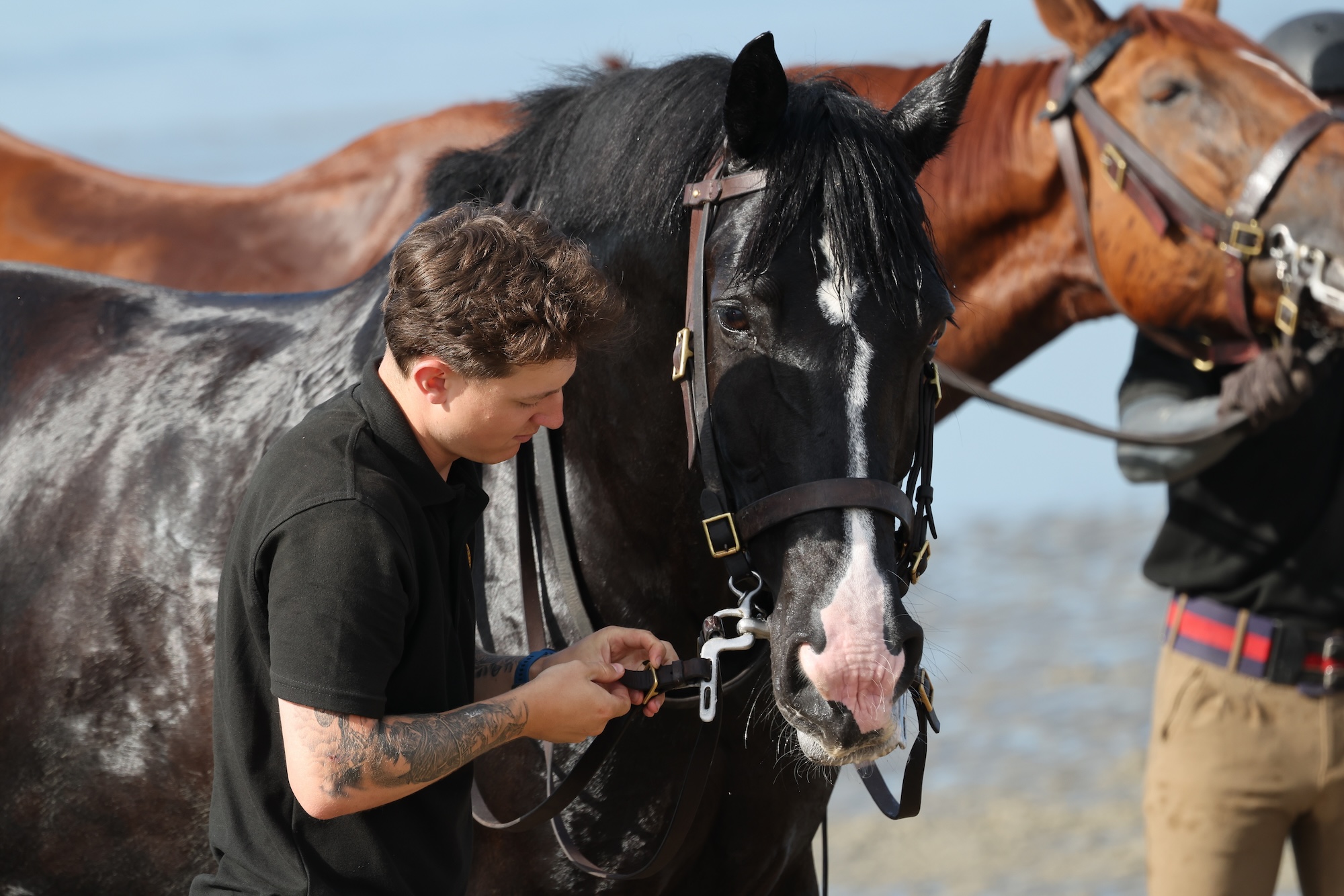 Soldiers and horses from the Household Cavalry Mounted Regiment at Hayling Island beach on Friday 3 July 2026.