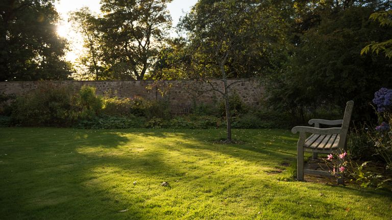 View of an empty wooden bench in the sun with lawn, trees and flowers