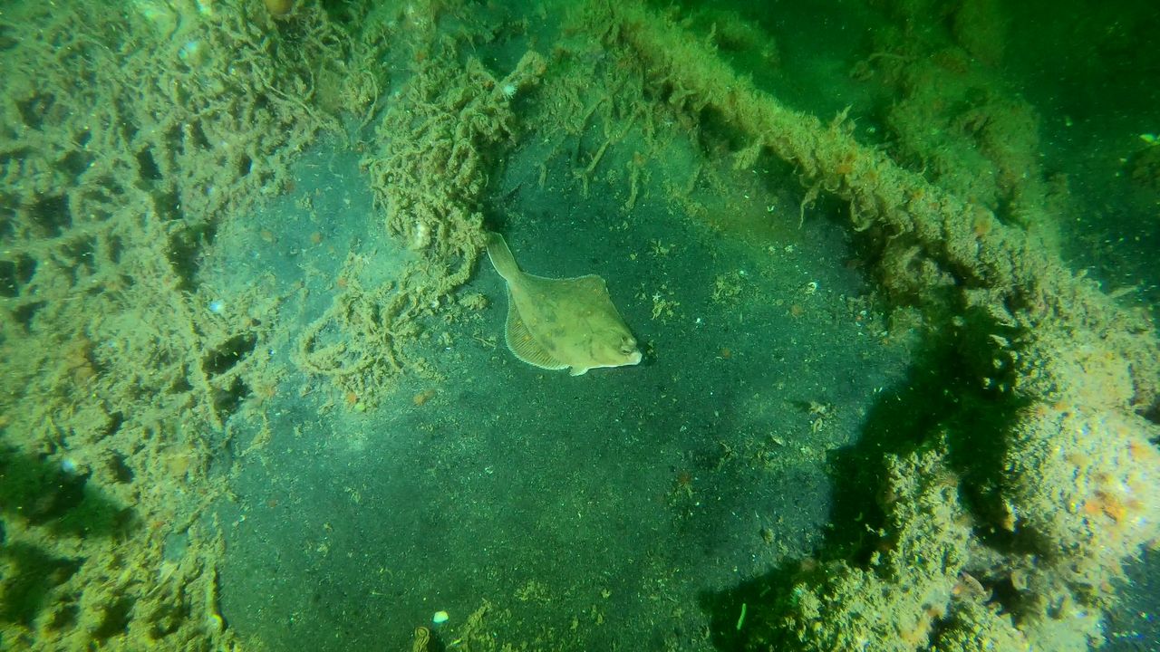 The latest study is part of a project to catalog the thousands of wartime wrecks in the North Sea and to prioritize the most hazardous for closer inspection.