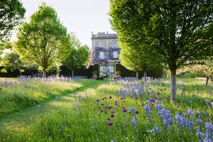 Wild Flower Meadow with spring wild flowers and Highgrove House. Credit: Highgrove / GAP Photos / A. Butler