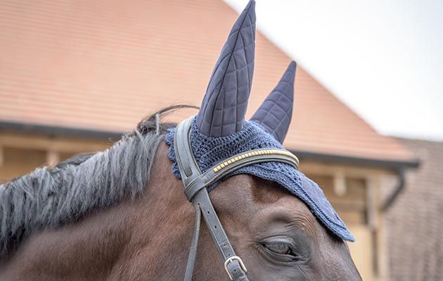 LeMieux Acoustic Fly Hood review