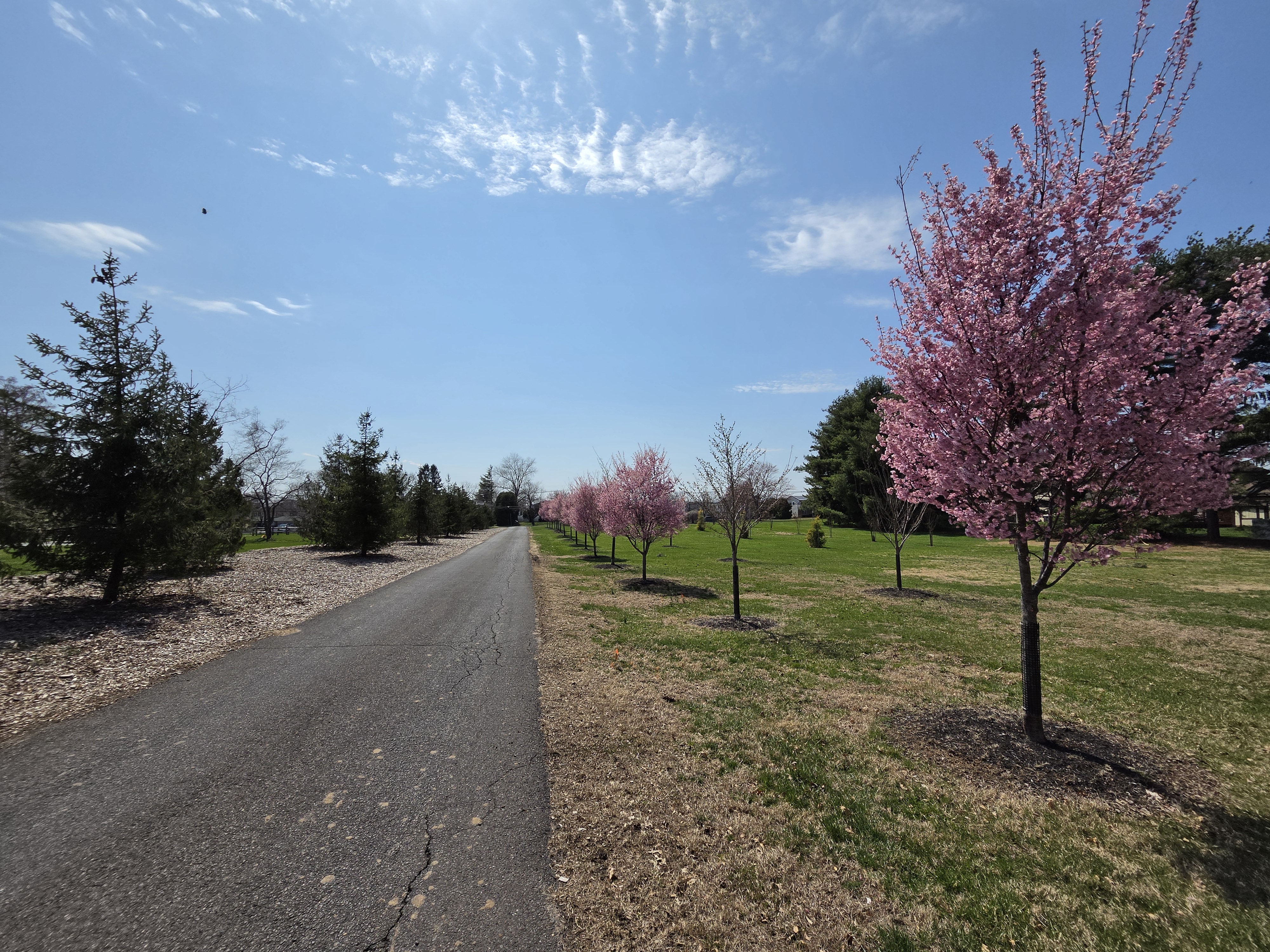 Samsung Galaxy S26 Plus camera samples