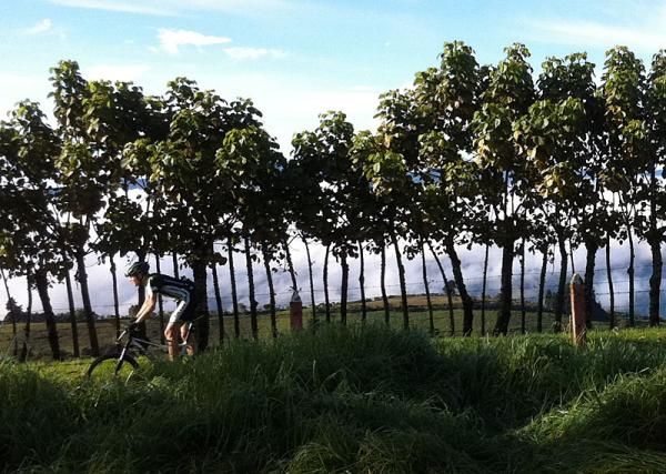 Alex Grant (Cannondale) on a ridge