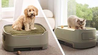 Dog and cat sitting on Blueair PetAir Pro air purifier / pet bed