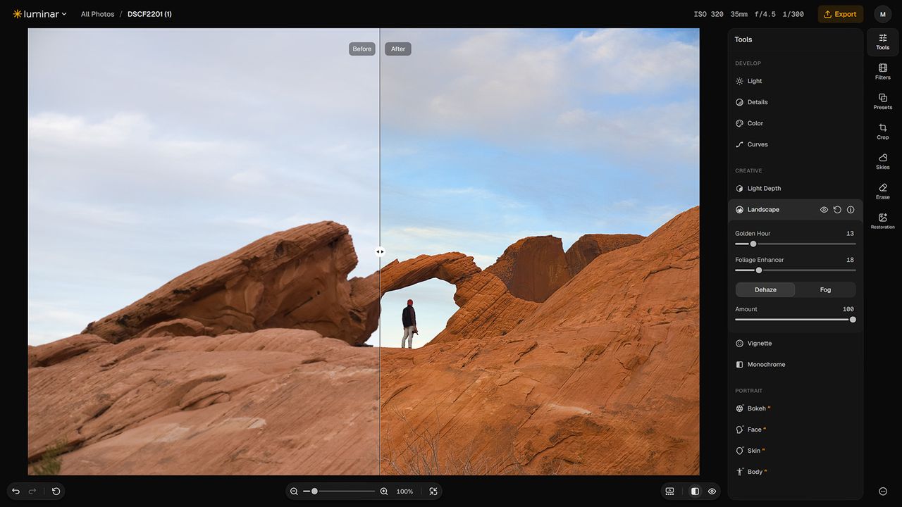 Sklylum Luminar on Web screenshot