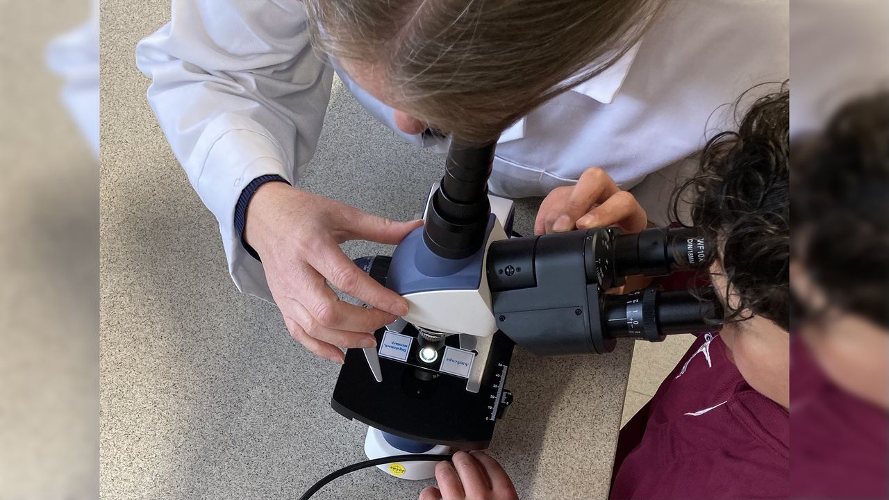 A teacher and student using the microscope simulanteously